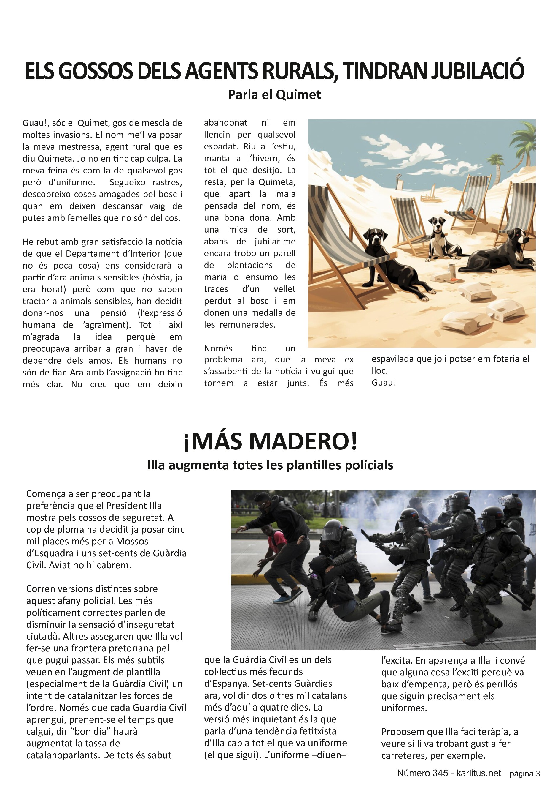 TERCERA PÀGINA
ELS GOSSOS DELS AGENTS RURALS, TINDRAN JUBILACIÓ
Parla el Quimet
Guau!, sóc el Quimet, gos de mescla de moltes invasions. El nom me’l va posar la meva mestressa, agent rural que es diu Quimeta. Jo no en tinc cap culpa. La meva feina és com la de qualsevol gos però d’uniforme. Segueixo rastres, descobreixo coses amagades pel bosc i quan em deixen descansar vaig de putes amb femelles que no són del cos.
He rebut amb gran satisfacció la notícia de que el Departament d’Interior (que no és poca cosa) ens considerarà a partir d’ara animals sensibles (hòstia, ja era hora!) però com que no saben tractar a animals sensibles, han decidit donar-nos una pensió (l’expressió humana de l’agraïment). Tot i així m’agrada la idea perquè em preocupava arribar a gran i haver de dependre dels amos. Els humans no són de fiar. Ara amb l’assignació ho tinc més clar. No crec que em deixin abandonat ni em llencin per qualsevol espadat. Riu a l’estiu, manta a l’hivern, és tot el que desitjo. La resta, per la Quimeta, que apart la mala pensada del nom, és una bona dona. Amb una mica de sort, abans de jubilar-me encara trobo un parell de plantacions de maria o ensumo les traces d’un vellet perdut al bosc i em donen una medalla de les remunerades.
Només tinc un problema ara, que la meva ex s’assabenti de la notícia i vulgui que tornem a estar junts. És més espavilada que jo i potser em fotaria el lloc.
Guau!
¡MÁS MADERO!
Illa augmenta totes les plantilles policials
Comença a ser preocupant la preferència que el President Illa mostra pels cossos de seguretat. A cop de ploma ha decidit ja posar cinc mil places més per a Mossos d’Esquadra i uns set-cents de Guàrdia Civil. Aviat no hi cabrem.
Corren versions distintes sobre aquest afany policial. Les més políticament correctes parlen de disminuir la sensació d’inseguretat ciutadà. Altres asseguren que Illa vol fer-se una frontera pretoriana pel que pugui passar. Els més subtils veuen en l’augment de plantilla (especialment de la Guàrdia Civil) un intent de catalanitzar les forces de l’ordre. Només que cada Guardia Civil aprengui, prenent-se el temps que calgui, dir “bon dia” haurà augmentat la tassa de catalanoparlants. De tots és sabut que la Guàrdia Civil és un dels col·lectius més fecunds d’Espanya. Set-cents Guàrdies ara, vol dir dos o tres mil catalans més d’aquí a quatre dies. La versió més inquietant és la que parla d’una tendència fetitxista d’Illa cap a tot el que va uniforme (el que sigui). L’uniforme –diuen– l’excita. En aparença a Illa li convé que alguna cosa l’exciti perquè va baix d’empenta, però és perillós que siguin precisament els uniformes.
Proposem que Illa faci teràpia, a veure si li va trobant gust a fer carreteres, per exemple.