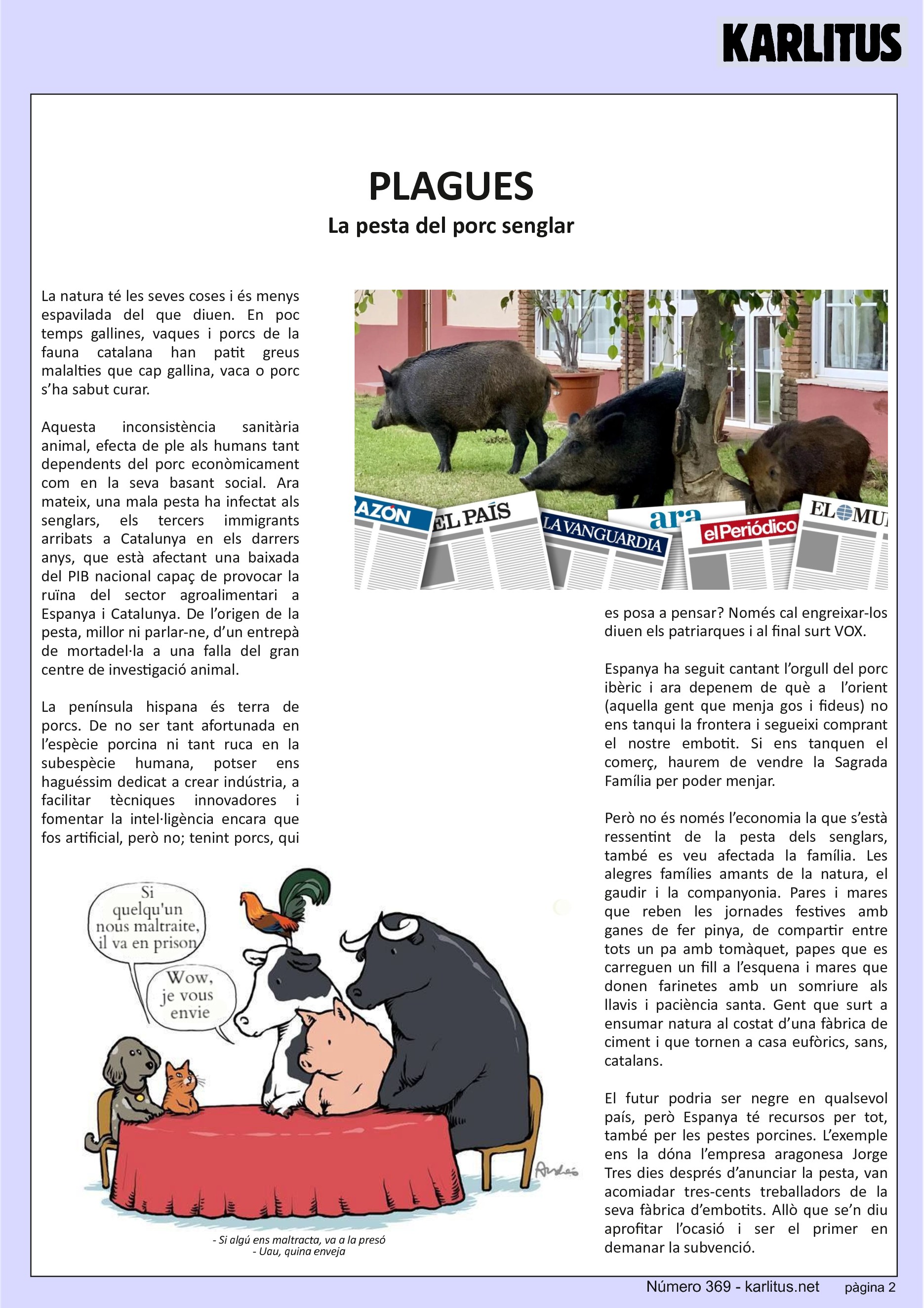 SEGONA PÀGINA
PLAGUES
La pesta del porc senglar
La natura té les seves coses i és menys espavilada del que diuen. En poc temps gallines, vaques i porcs de la fauna catalana han patit greus malalties que cap gallina, vaca o porc s’ha sabut curar.
Aquesta inconsistència sanitària animal, efecta de ple als humans tant dependents del porc econòmicament com en la seva basant social. Ara mateix, una mala pesta ha infectat als senglars, els tercers immigrants arribats a Catalunya en els darrers anys, que està afectant una baixada del PIB nacional capaç de provocar la ruïna del sector agroalimentari a Espanya i Catalunya. De l’origen de la pesta, millor ni parlar-ne, d’un entrepà de mortadel·la a una falla del gran centre de investigació animal.
La península hispana és terra de porcs. De no ser tant afortunada en l’espècie porcina ni tant ruca en la subespècie humana, potser ens haguéssim dedicat a crear indústria, a facilitar tècniques innovadores i fomentar la intel·ligència encara que fos artificial, però no; tenint porcs, qui es posa a pensar? Només cal engreixar-los diuen els patriarques i al final surt VOX.
Espanya ha seguit cantant l’orgull del porc ibèric i ara depenem de què a l’orient (aquella gent que menja gos i fideus) no ens tanqui la frontera i segueixi comprant el nostre embotit. Si ens tanquen el comerç, haurem de vendre la Sagrada Família per poder menjar.
Però no és només l’economia la que s’està ressentint de la pesta dels senglars, també es veu afectada la família. Les alegres famílies amants de la natura, el gaudir i la companyonia. Pares i mares que reben les jornades festives amb ganes de fer pinya, de compartir entre tots un pa amb tomàquet, papes que es carreguen un fill a l’esquena i mares que donen farinetes amb un somriure als llavis i paciència santa. Gent que surt a ensumar natura al costat d’una fàbrica de ciment i que tornen a casa eufòrics, sans, catalans.
El futur podria ser negre en qualsevol país, però Espanya té recursos per tot, també per les pestes porcines. L’exemple ens la dóna l’empresa aragonesa Jorge Tres dies després d’anunciar la pesta, van acomiadar tres-cents treballadors de la seva fàbrica d’embotits. Allò que se’n diu aprofitar l’ocasió i ser el primer en demanar la subvenció.